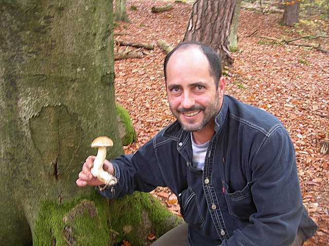 La  Foresta  di  Soltzmatt  (FRA)